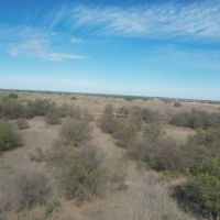 NEW LISTING 66.85 Ac CR 143 Jayton images 5