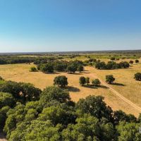 Price Improvement 90 - Acres Comanche County images 4
