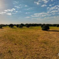 Price Improvement 90 - Acres Comanche County images 5