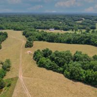 New PropertTurn-Key Cattle Farm Near Table Rock Lake images 2