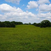 New PropertTurn-Key Cattle Farm Near Table Rock Lake images 3