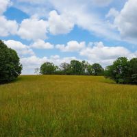 New PropertTurn-Key Cattle Farm Near Table Rock Lake images 5