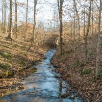 Large tract near Leipers Fork TN