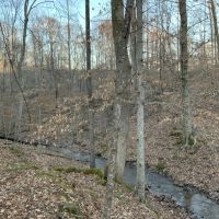 Large tract near Leipers Fork TN images 4
