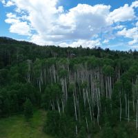 5 Acres in Cimarron Colorado