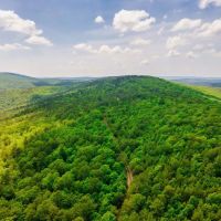Secluded Hunter s Paradise images 2