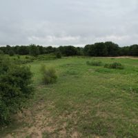 New Listing 13.23 Ac CR 356 Anson images 4