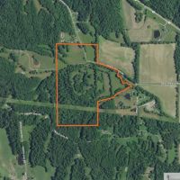 Versatile 99 Acre Tract for Sale Alexander County