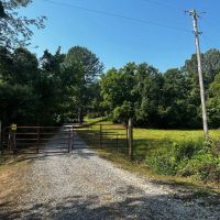 Versatile 99 Acre Tract for Sale Alexander County images 2