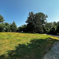 Versatile 99 Acre Tract for Sale Alexander County images 3