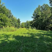 Versatile 99 Acre Tract for Sale Alexander County images 5