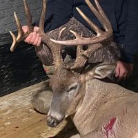 MS - Leflore 134 acres - images 2