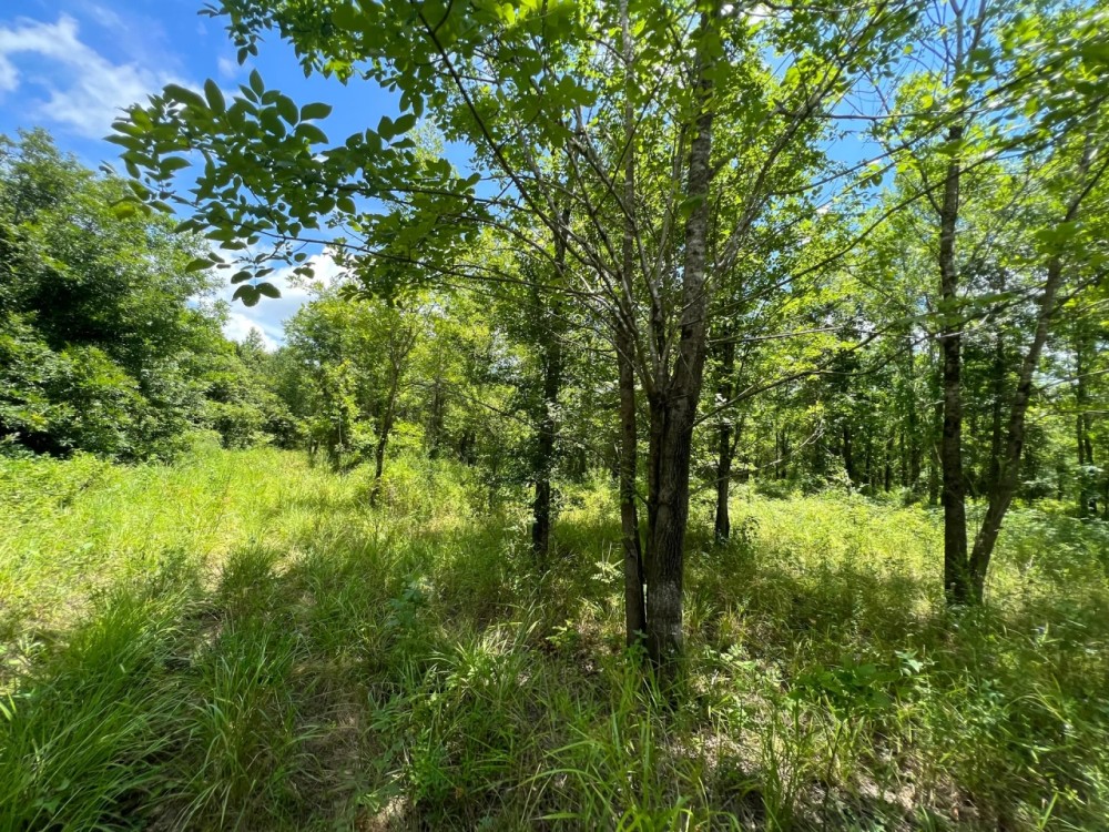 LA - Franklin 30 acres - featured image