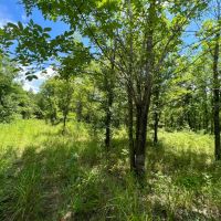 LA - Franklin 30 acres -