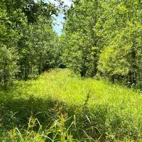 LA - Franklin 30 acres - images 2