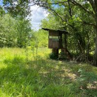 LA - Franklin 30 acres - images 4