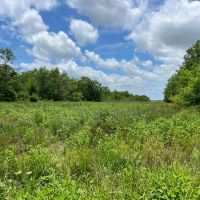 LA - Franklin 30 acres - images 5