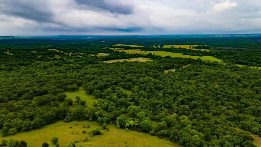 Recreational Hunting Tract in Osage County featured image