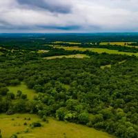 Recreational Hunting Tract in Osage County