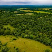 Recreational Hunting Tract in Osage County images 2