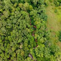 Recreational Hunting Tract in Osage County images 3