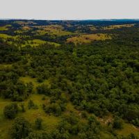 Recreational Hunting Tract in Osage County images 4