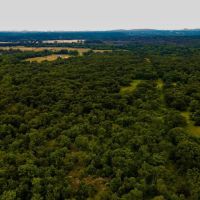 Recreational Hunting Tract in Osage County images 5