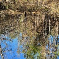 LA - Caldwell 40 acres - images 3