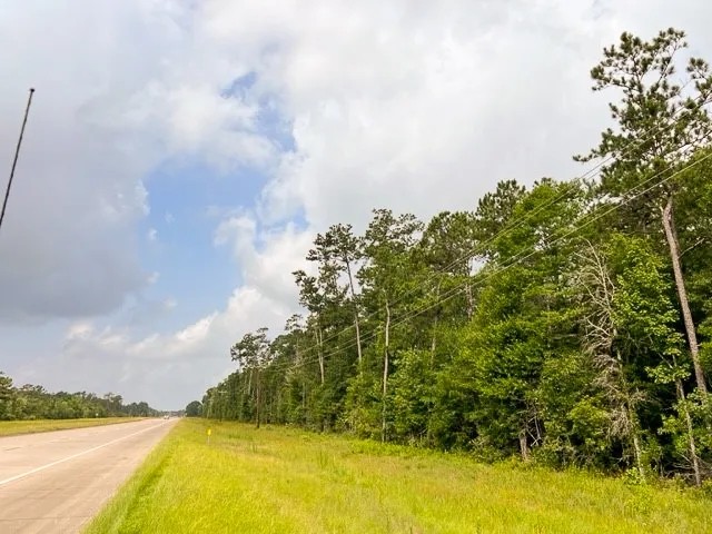 LA - West Carroll 80 acres - featured image