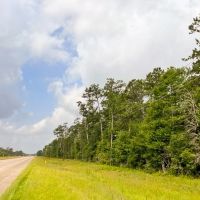 LA - West Carroll 80 acres -