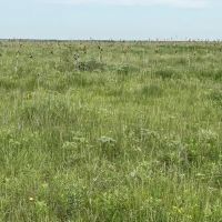 Optima 80 images 3