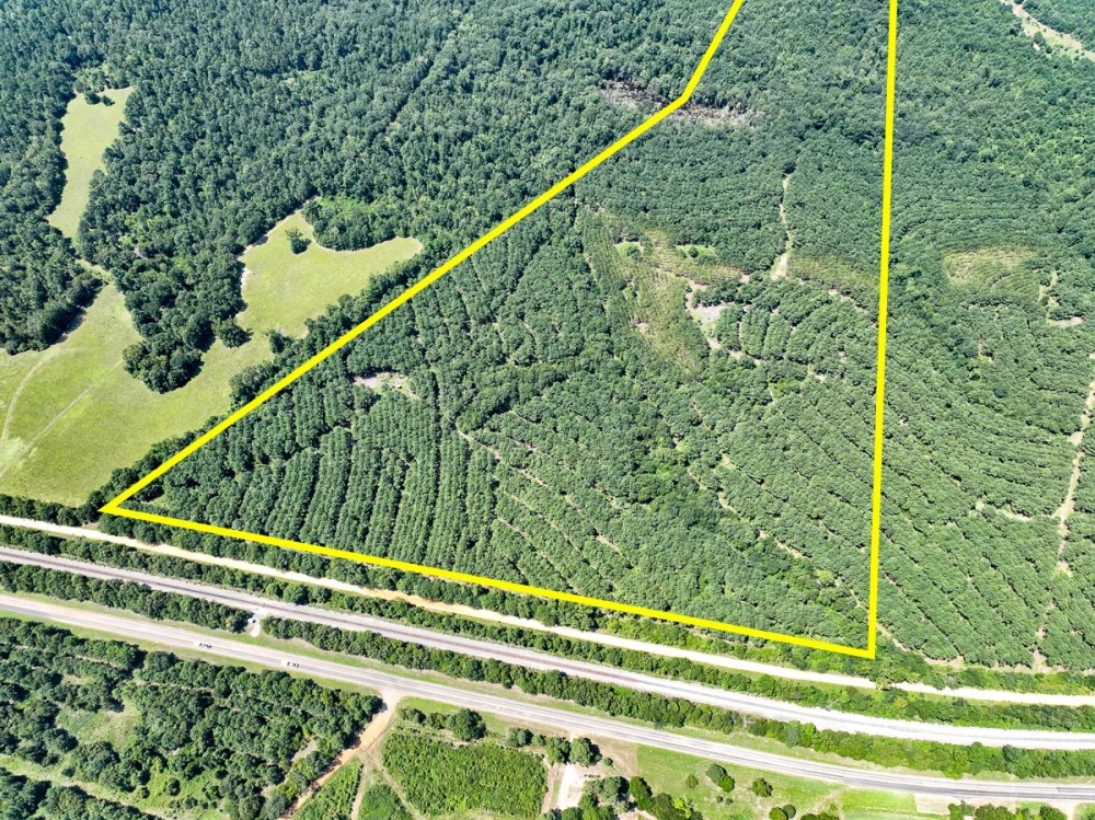 120 Acres with a Camp in Hamilton County Tennessee featured image