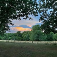 Combination Ranch And Hunting Property Near Stockton Lake images 2