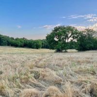 Combination Ranch And Hunting Property Near Stockton Lake images 4