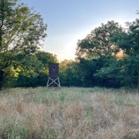 Combination Ranch And Hunting Property Near Stockton Lake images 5