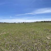 Price Reduction 38.45 Ac CR 327 Gorman images 3