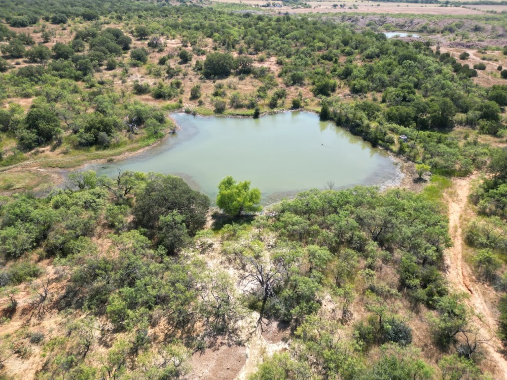 New Listing 345.84 - Acres Home Coleman County featured image