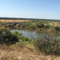 New Listing 345.84 - Acres Home Coleman County images 4