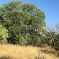 New Listing 345.84 - Acres Home Coleman County images 5