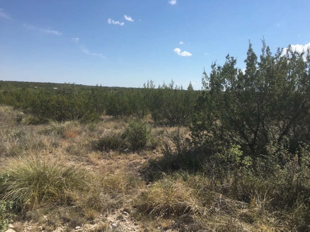 Price Improvement 27.57 - Acres Concho County featured image