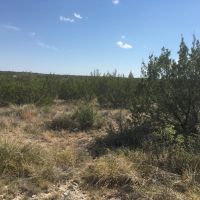 Price Improvement 27.57 - Acres Concho County images 1