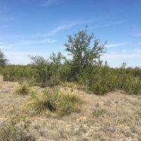 Price Improvement 27.57 - Acres Concho County images 2
