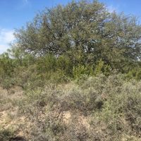 Price Improvement 27.57 - Acres Concho County images 3