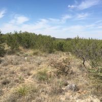 Price Improvement 27.57 - Acres Concho County images 4