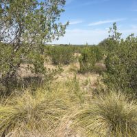 Price Improvement 27.57 - Acres Concho County images 5