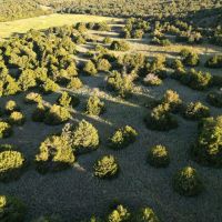 Caddo County Hunting Camp images 5