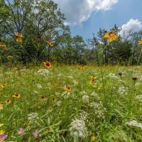 Medicine Creek 784 images 3