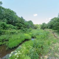 Medicine Creek 784 images 5