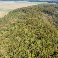 46.1 Acres in Holmes County MS - Horseshoe Brake