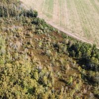 46.1 Acres in Holmes County MS - Horseshoe Brake images 2